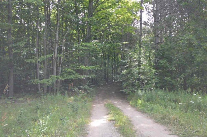 This 40 +/- acre parcel is mostly wooded with a rolling terrain - Beach Lot for sale in Petoskey, Michigan on Beachhouse.com