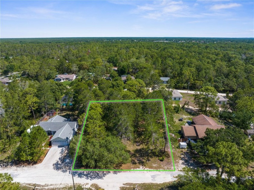 Build your dream home on this 1/3-acre lot. There is NO HOA, NO - Beach Lot for sale in Weeki Wachee, Florida on Beachhouse.com