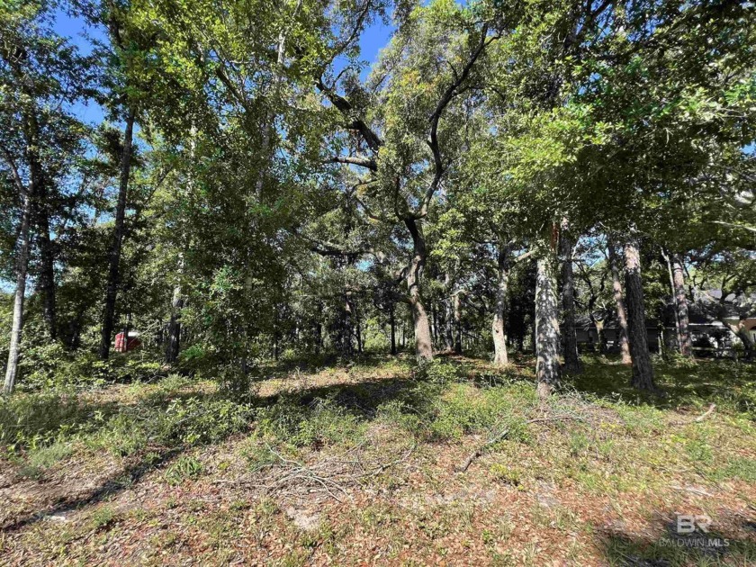 All reasonable offers will be considered! Owner Financing offers - Beach Lot for sale in Lillian, Alabama on Beachhouse.com