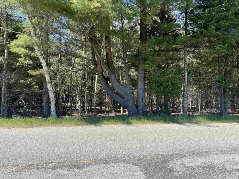 3.3 Acres Near Lake Michigan - Build-Ready with Utilities  Trail - Beach Acreage for sale in Manistique, Michigan on Beachhouse.com