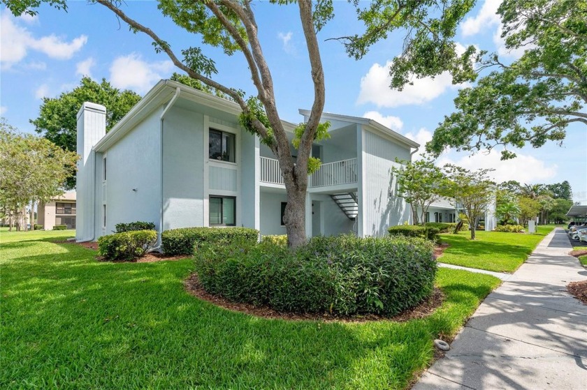 Under contract-accepting backup offers. *** HUGE PRICE DROP - - Beach Condo for sale in Oldsmar, Florida on Beachhouse.com