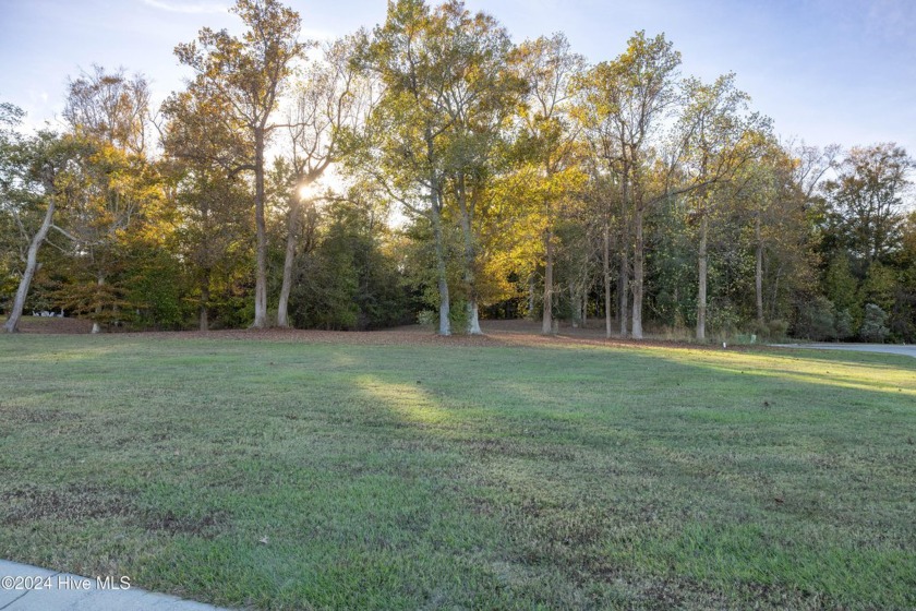 Welcome to Occano. A gated Arnold Palmer Signature Golf Course - Beach Lot for sale in Merry Hill, North Carolina on Beachhouse.com