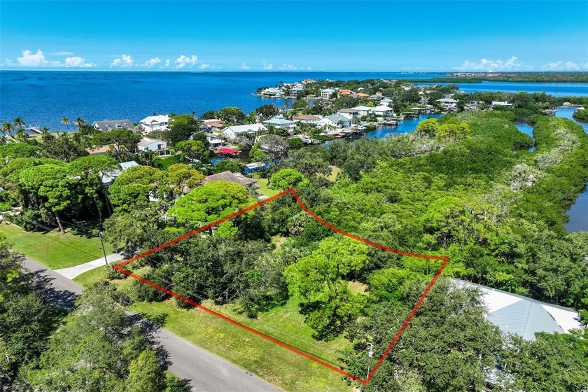 Create your coastal dream in Crystal Beach, Florida.
Situated - Beach Lot for sale in Palm Harbor, Florida on Beachhouse.com