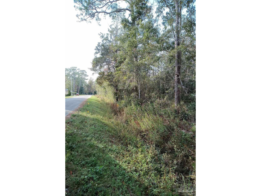 Exceptional acreage, 99.9% uplands,( see wetlands delineation - Beach Acreage for sale in Pensacola, Florida on Beachhouse.com