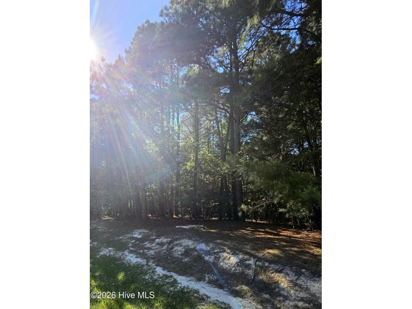 Tucked away in a quiet, well-kept subdivision, this beautiful - Beach Lot for sale in Hertford, North Carolina on Beachhouse.com