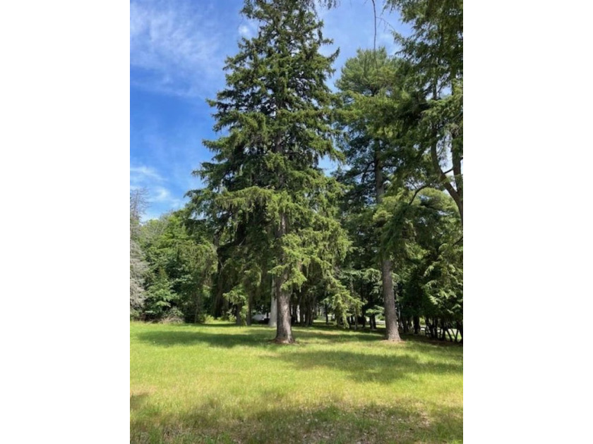 This new lot split is perfectly positioned at the corner of the - Beach Lot for sale in Harbor Springs, Michigan on Beachhouse.com