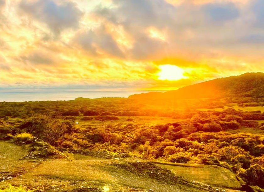 This is the one. Set on a gentle rise in Las Ventanas, this 1 - Beach Lot for sale in Playa Grande,  on Beachhouse.com