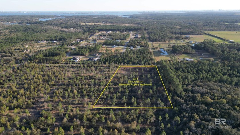 If you've been looking for a nice large lot to build your dream - Beach Lot for sale in Elberta, Alabama on Beachhouse.com