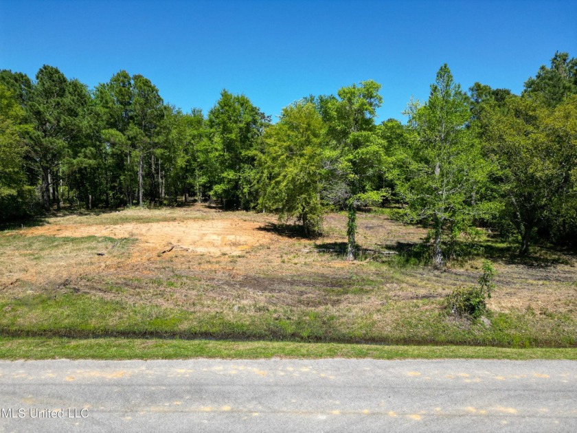 Great lot close to the Beach and all Old Town Bay St. Louis has - Beach Lot for sale in Waveland, Mississippi on Beachhouse.com