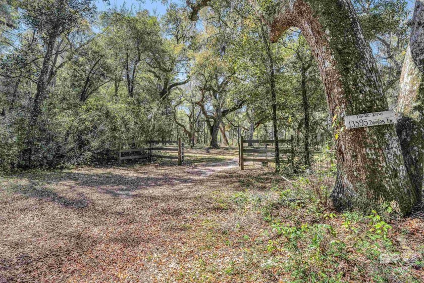 Discover a rare 10-acre waterfront parcel on Nolte Creek, which - Beach Acreage for sale in Foley, Alabama on Beachhouse.com