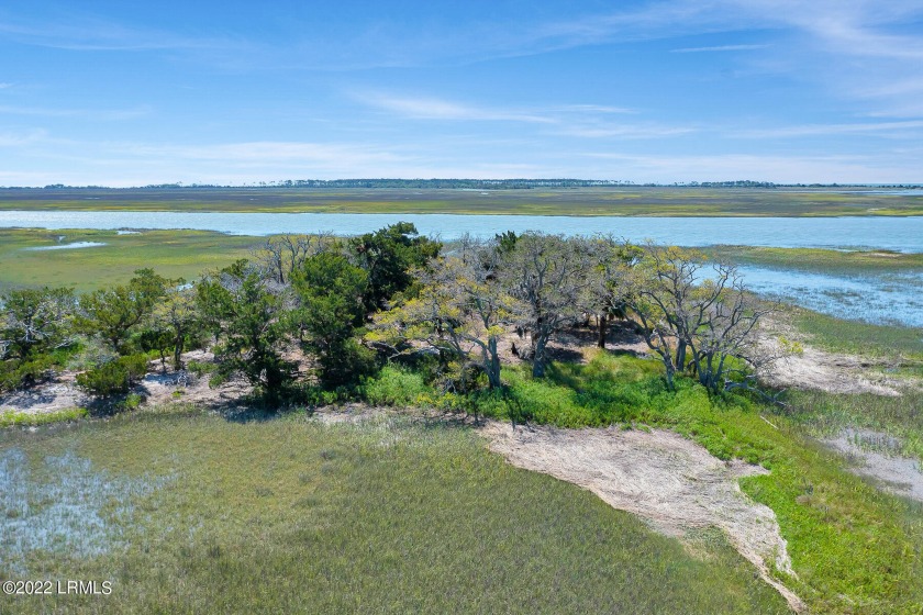 Amazing and unexpected private location! A must see location! - Beach Acreage for sale in Saint Helena Island, South Carolina on Beachhouse.com