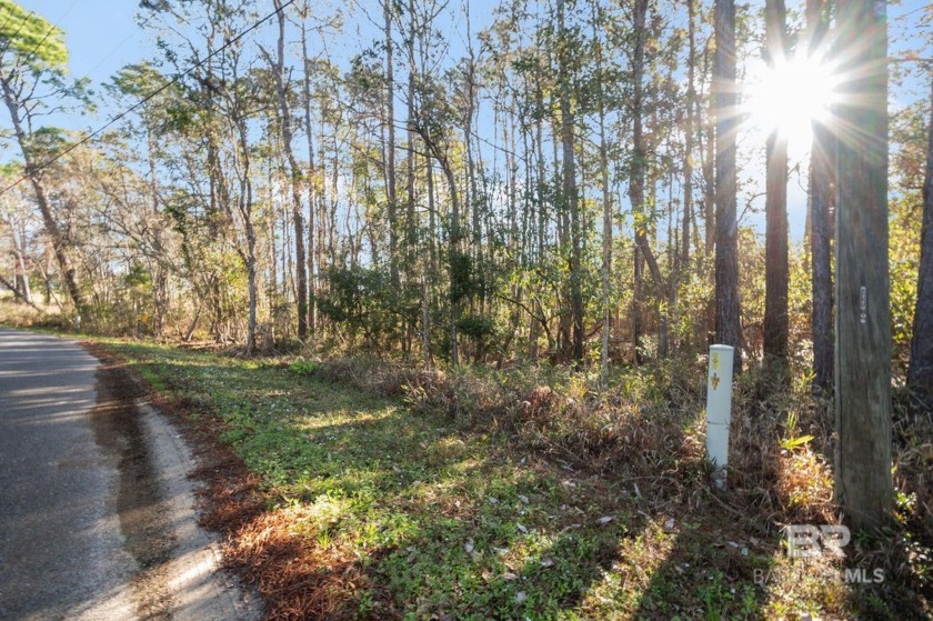 Discover the perfect canvas for your dream home in the highly - Beach Lot for sale in Lillian, Alabama on Beachhouse.com