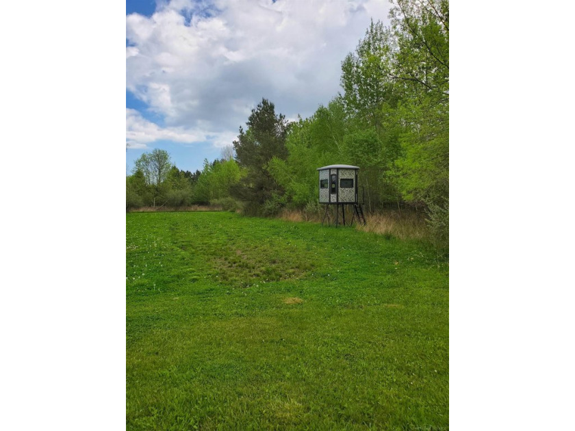 Thirty acres of prime hunting land on Black River! Acres of - Beach Acreage for sale in Carsonville, Michigan on Beachhouse.com