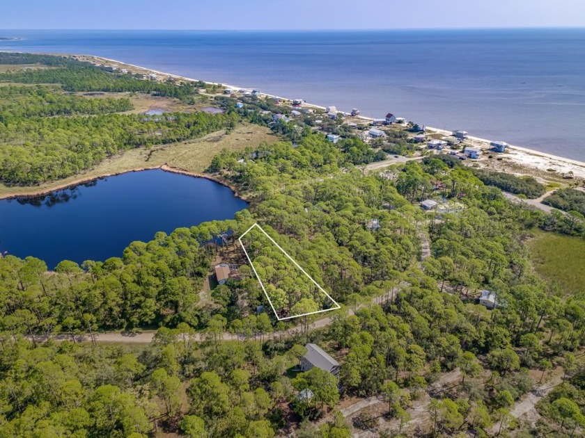 This private lot on Mullet Pond is a hidden gem for nature - Beach Lot for sale in Alligator Point, Florida on Beachhouse.com