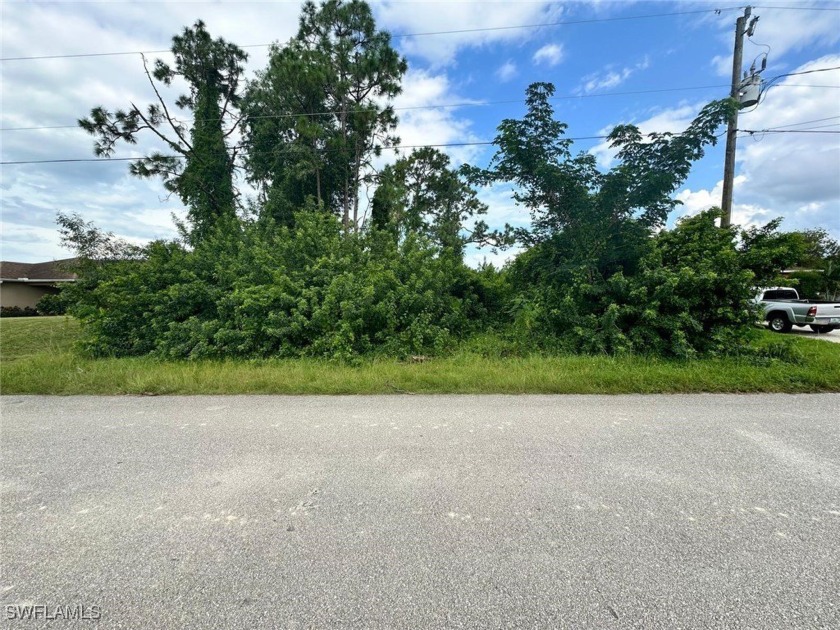 Prime Vacant Land for Sale in Lehigh Acres, FL.  With close - Beach Lot for sale in Lehigh Acres, Florida on Beachhouse.com