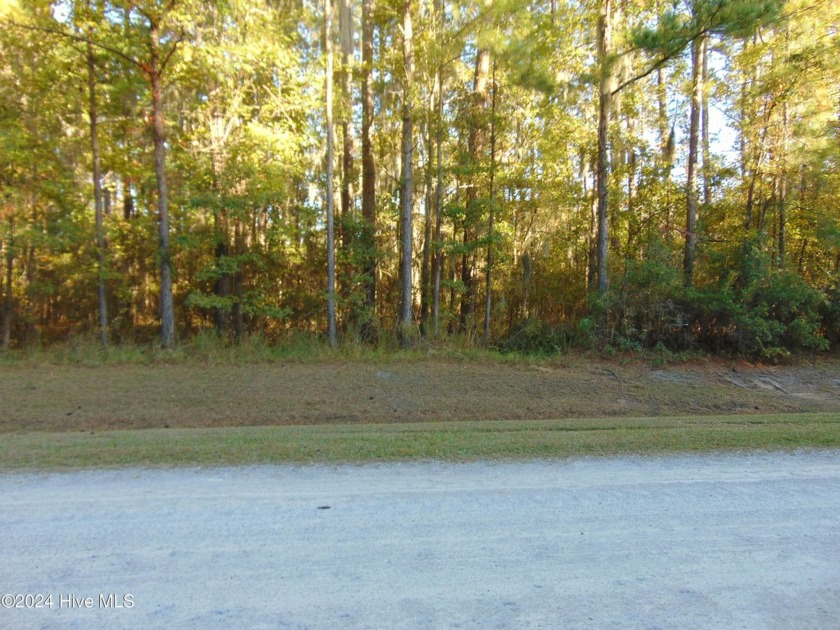 COASTAL LIVING- Large wooded, double lots near the, Intercoastal - Beach Acreage for sale in Aurora, North Carolina on Beachhouse.com