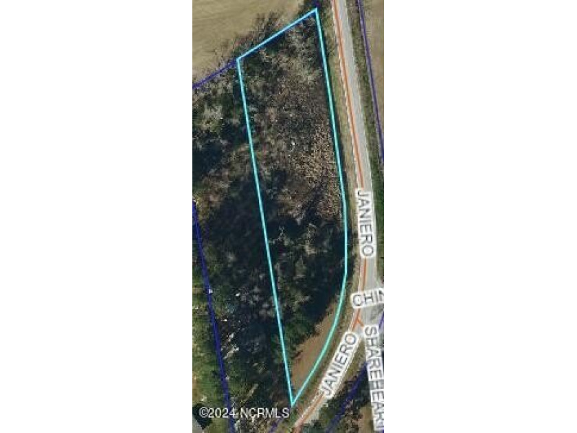 Discover an exceptional opportunity in one of Janeiro roads most - Beach Lot for sale in Arapahoe, North Carolina on Beachhouse.com