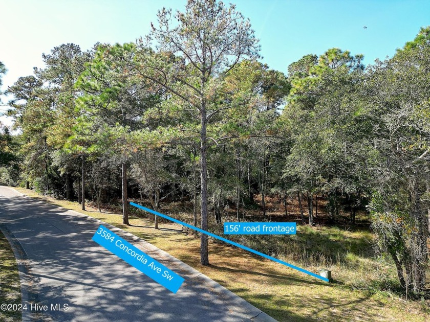 Oversized residential building lot located in Seascape at Holden - Beach Lot for sale in Supply, North Carolina on Beachhouse.com