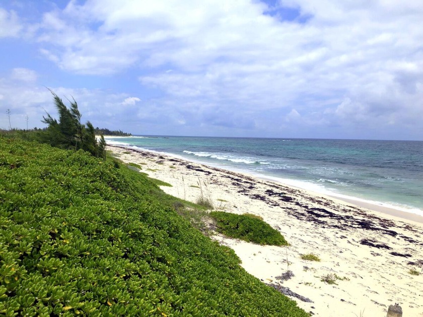 Unique opportunity to own 5 acres of ocean front property in the - Beach Commercial for sale in Abaco, Central Abaco, Bahamas on Beachhouse.com