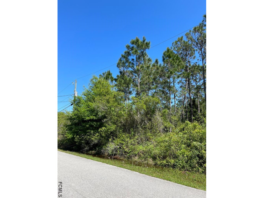 Great lot in Matanzas Woods close to Route 1 and the I-95 Exit - Beach Lot for sale in Palm Coast, Florida on Beachhouse.com
