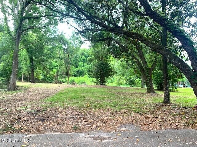 ATTENTION, ATTENTION - THIS BEAUTIFUL LOT JUST RECENTLY CLEARED - Beach Lot for sale in Ocean Springs, Mississippi on Beachhouse.com