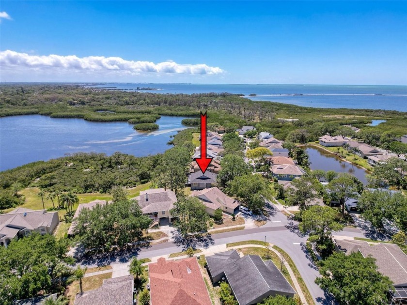 Imagine sitting on your private screened lanai sipping a cool - Beach Home for sale in Tarpon Springs, Florida on Beachhouse.com