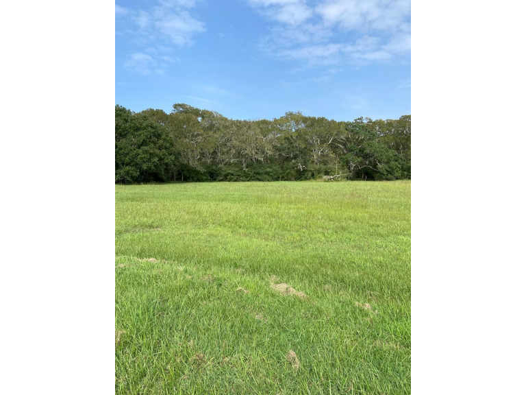 Beautiful lot ready to build o, cleared n the front and more - Beach Lot for sale in Blessing, Texas on Beachhouse.com