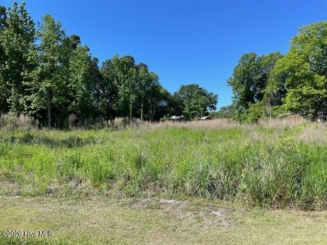 Enjoy living minutes from the ICW with no HOA! Build your - Beach Lot for sale in Hampstead, North Carolina on Beachhouse.com