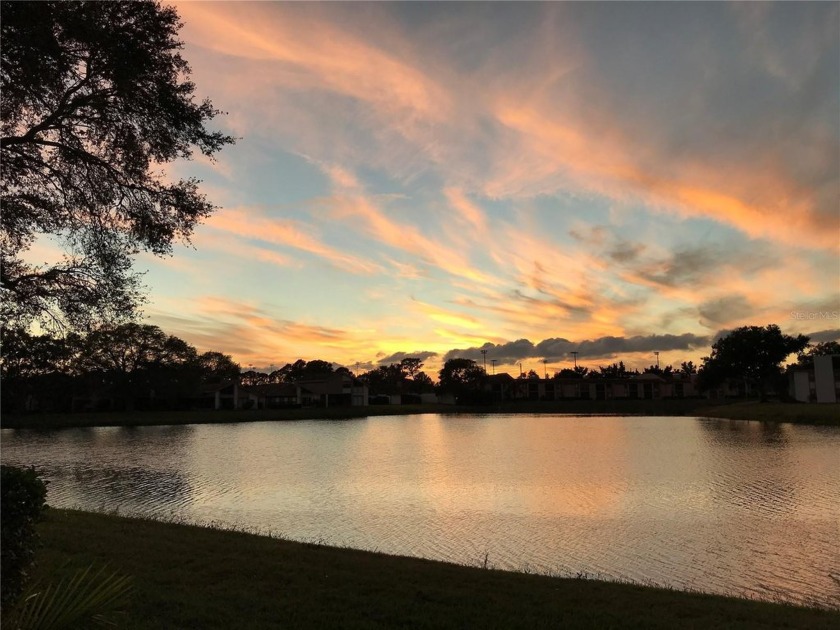 VACATION WHERE YOU LIVE! Beautiful End Unit...Relax and enjoy - Beach Condo for sale in Oldsmar, Florida on Beachhouse.com