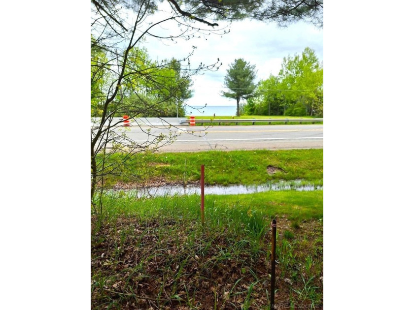 Build your Dream Home near the Shores of Lake Huron! Located on - Beach Lot for sale in Applegate, Michigan on Beachhouse.com