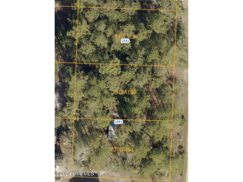 Seize your chance to own three spacious lots in a beautiful - Beach Lot for sale in Supply, North Carolina on Beachhouse.com