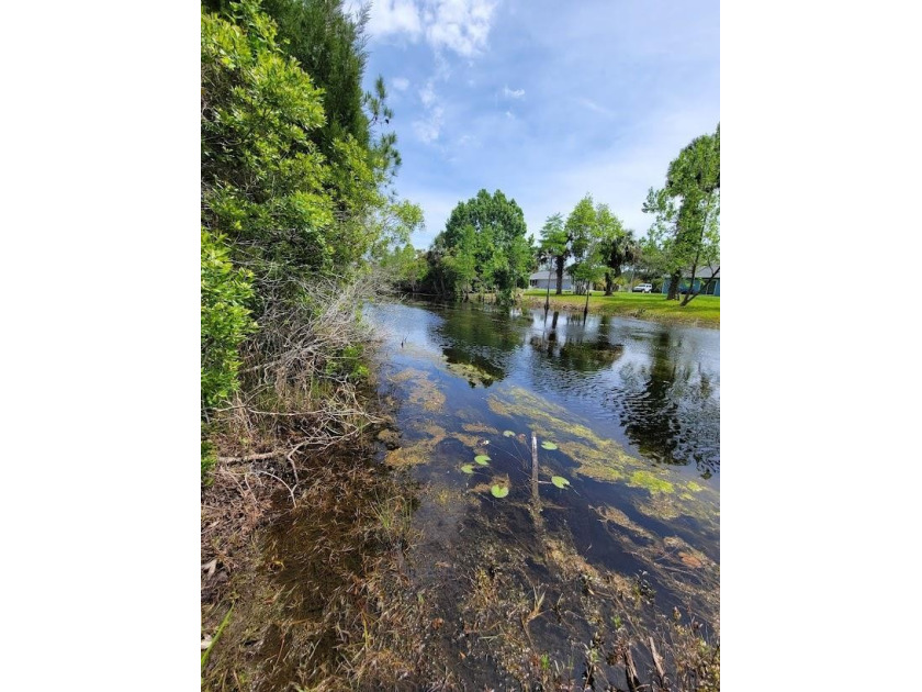**Motivated Seller** Gorgeous wooded lot on a fresh water canal - Beach Lot for sale in Palm Coast, Florida on Beachhouse.com