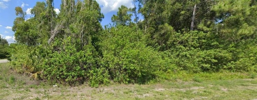 Seize the opportunity to own this prime vacant lot at 738 - Beach Lot for sale in Lehigh Acres, Florida on Beachhouse.com