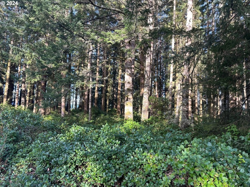 IT'S LIKE A WALK IN THE PARK FROM THIS 2.98 acres of wooded land - Beach Lot for sale in Brookings, Oregon on Beachhouse.com