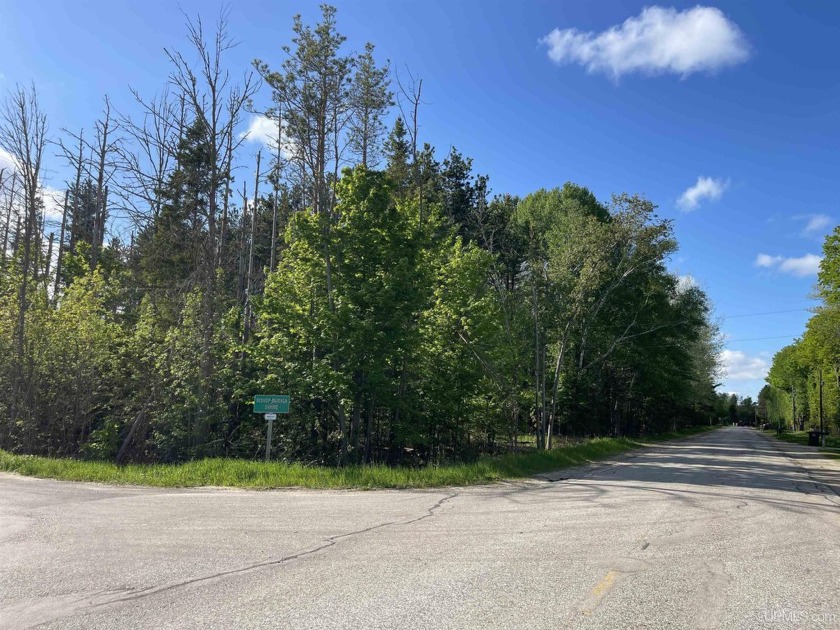 Conveniently located minutes from town, this 1.28-acre corner - Beach Lot for sale in Manistique, Michigan on Beachhouse.com