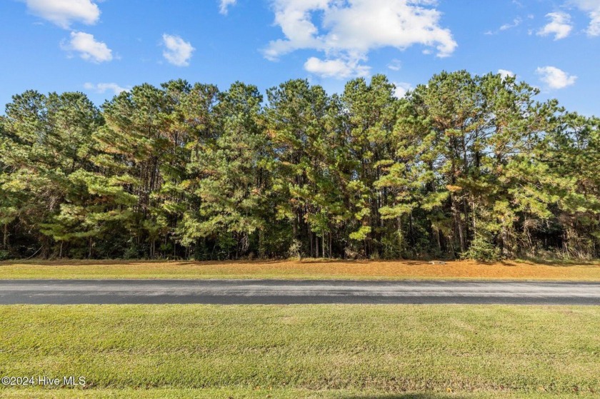 Discover the ultimate in waterfront living at Merrimon Bay, a - Beach Acreage for sale in Beaufort, North Carolina on Beachhouse.com