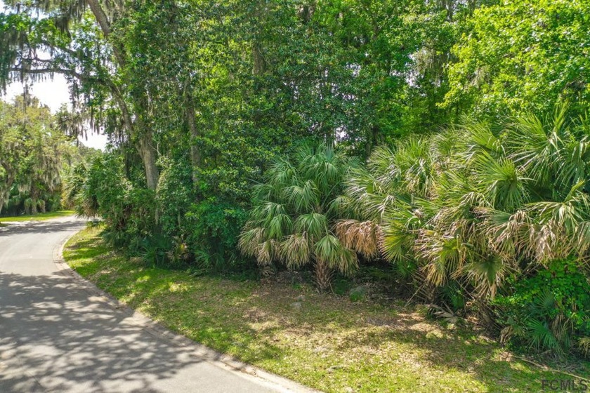 Beautiful Building lot in Estate Section of Sugar Mill - Beach Lot for sale in Flagler Beach, Florida on Beachhouse.com