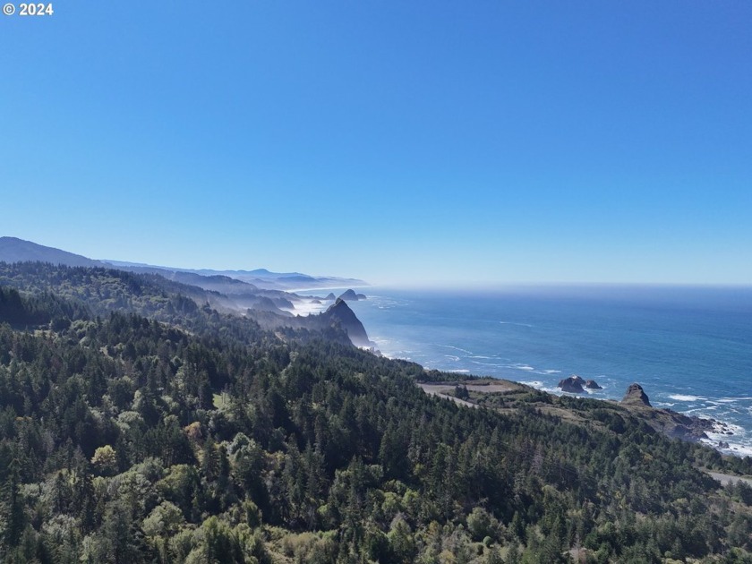 Experience ultimate privacy, seclusion, and breathtaking - Beach Lot for sale in Port Orford, Oregon on Beachhouse.com