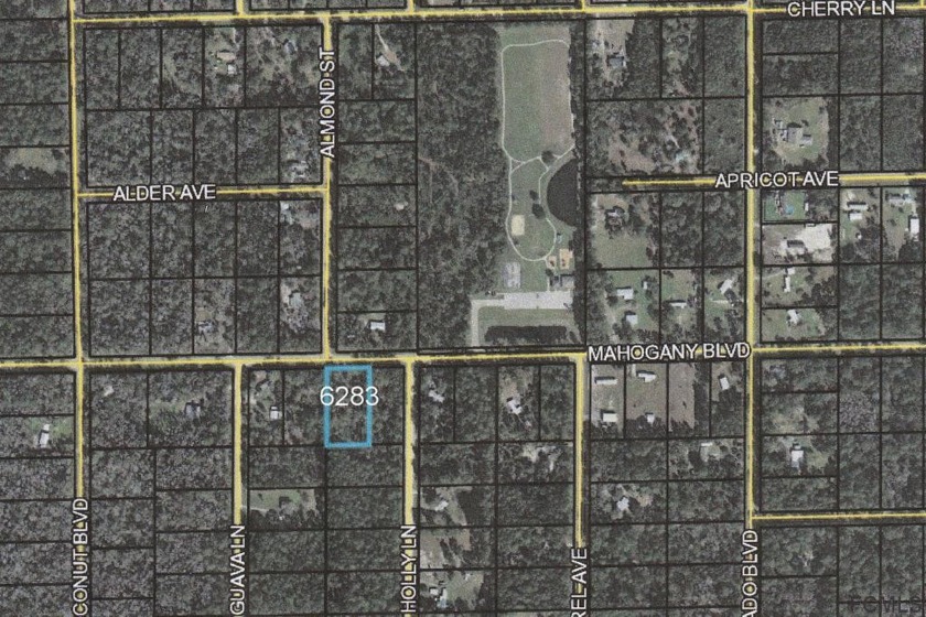 PAVED ROAD FRONTAGE !!!!!!!!  This lot has few pine, several - Beach Lot for sale in Bunnell, Florida on Beachhouse.com