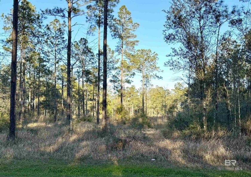 Centrally located near the quaint town of Elberta you will find - Beach Acreage for sale in Elberta, Alabama on Beachhouse.com