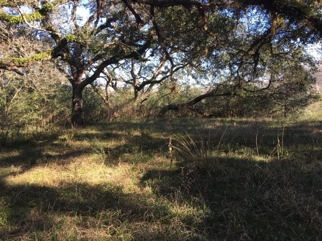 Beautiful, wooded lot in the Vaquero Subdivision.  Build your - Beach Acreage for sale in Matagorda, Texas on Beachhouse.com