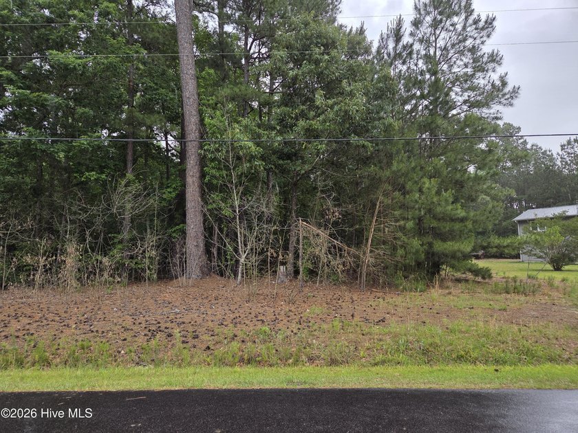 Welcome to Snug Harbor! This apprx. .48 acre wooded lot is ready - Beach Lot for sale in Hertford, North Carolina on Beachhouse.com
