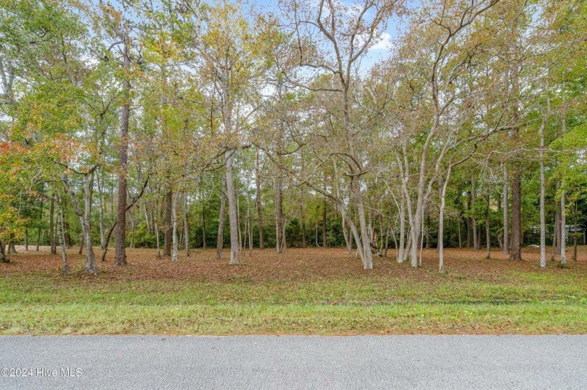 Residential undeveloped lot for sale in one of Ocean Isle - Beach Lot for sale in Ocean Isle Beach, North Carolina on Beachhouse.com