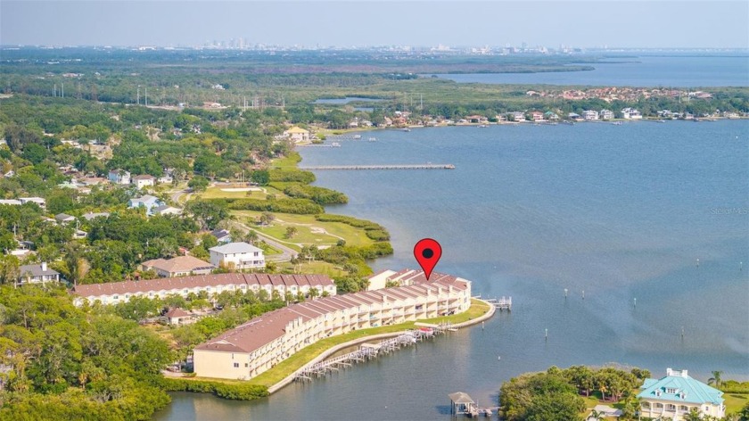 Wake up every day to sweeping, unobstructed views of Old Tampa - Beach Townhome/Townhouse for sale in Oldsmar, Florida on Beachhouse.com