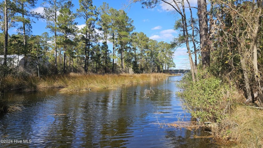 Unrestricted waterfront lot on small canal/creek just off the - Beach Lot for sale in Belhaven, North Carolina on Beachhouse.com