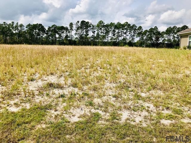 Build your dream house on this beautiful lot in a very excusive - Beach Lot for sale in Palm Coast, Florida on Beachhouse.com