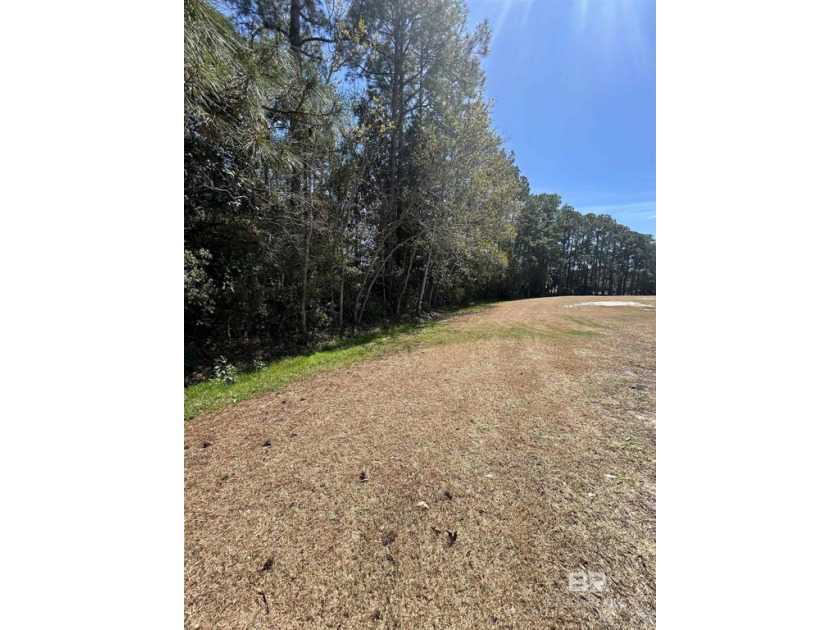 10+ Acres with Golf Course frontage, largest undeveloped site in - Beach Lot for sale in Gulf Shores, Alabama on Beachhouse.com
