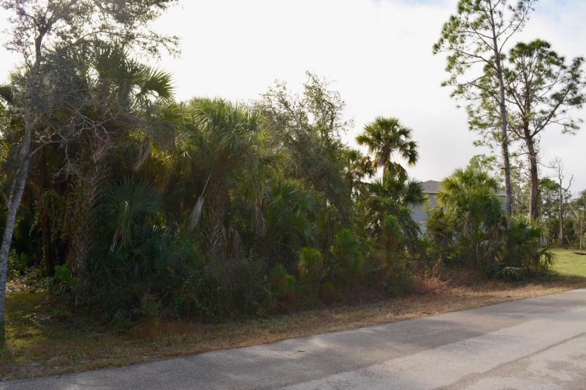 Build your dream home in North Port, one of Florida's - Beach Lot for sale in North Port, Florida on Beachhouse.com