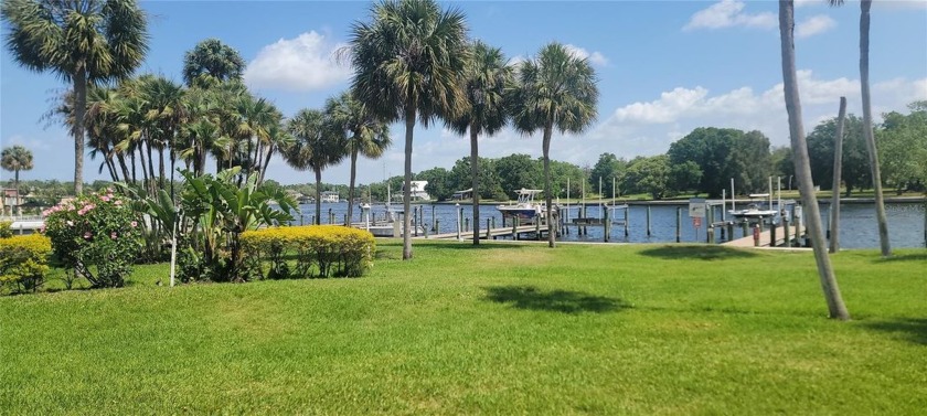 Under contract-accepting backup offers. Great opportunity to - Beach Condo for sale in Tampa, Florida on Beachhouse.com
