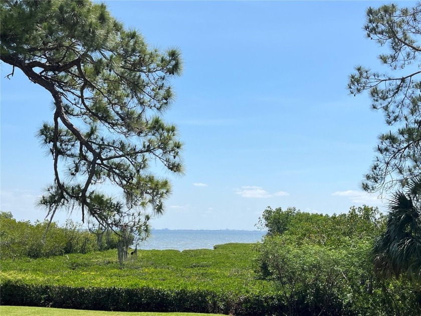 GORGEOUS WATER FRONT LOT!!!! BUILD YOUR DREAM HOME!!!! EXPANSIVE - Beach Lot for sale in Safety Harbor, Florida on Beachhouse.com